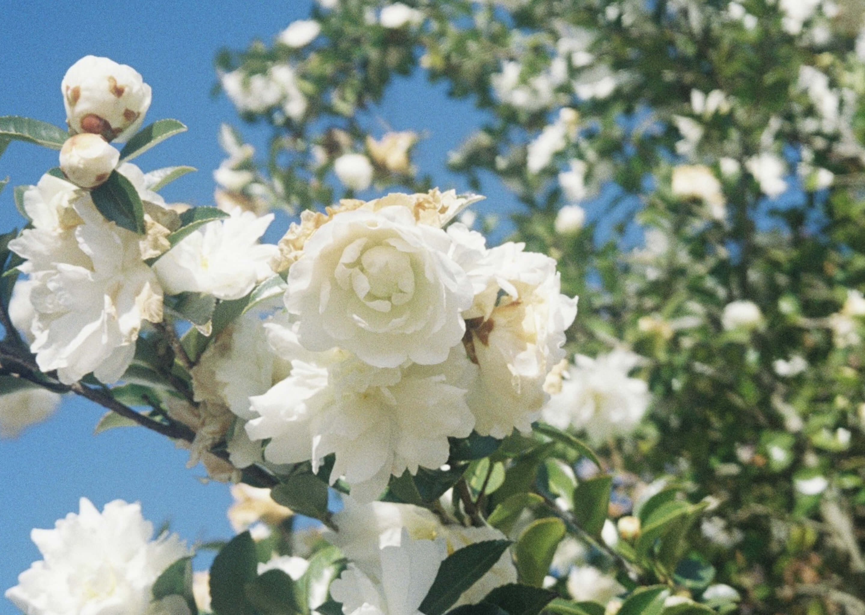 トップ メインビジュアル